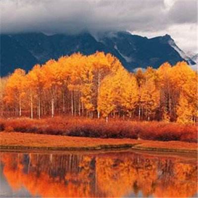 b体育手机在线登录